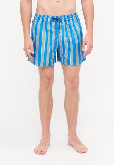 Shorts de bain rayés bleus et verts avec une taille élastique et un cordon de serrage, présentant une longueur mi-cuisse et un tissu léger.