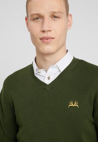 Grüner Strickpullover mit V-Ausschnitt. Verfügt über ein goldfarbenes gesticktes Muster auf der linken Brust, getragen über einem weißen Hemd mit Kragen.