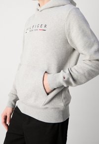 Felpa grigia con tasca a marsupio, con logo stampato "HILFIGER NEW YORK". Gli orli delle maniche presentano un piccolo dettaglio con una bandierina colorata.