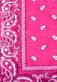 Tissu rose avec des motifs paisley en blanc et en contours foncés. Le centre est décoré d'une bordure texturée et de petits accents paisley.