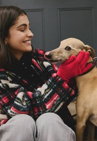 Une femme portant un manteau polaire multicolore à rayures et des gants rouges interagit avec un chien marron clair, illustrant une ambiance chaleureuse à l'intérieur.