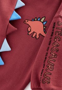 Bordowy sweter z niebieskimi i jasnoniebieskimi kolcami, różowym haftowanym wzorem dinozaura oraz napisem „STEGO SAURUS”. Miękka struktura.