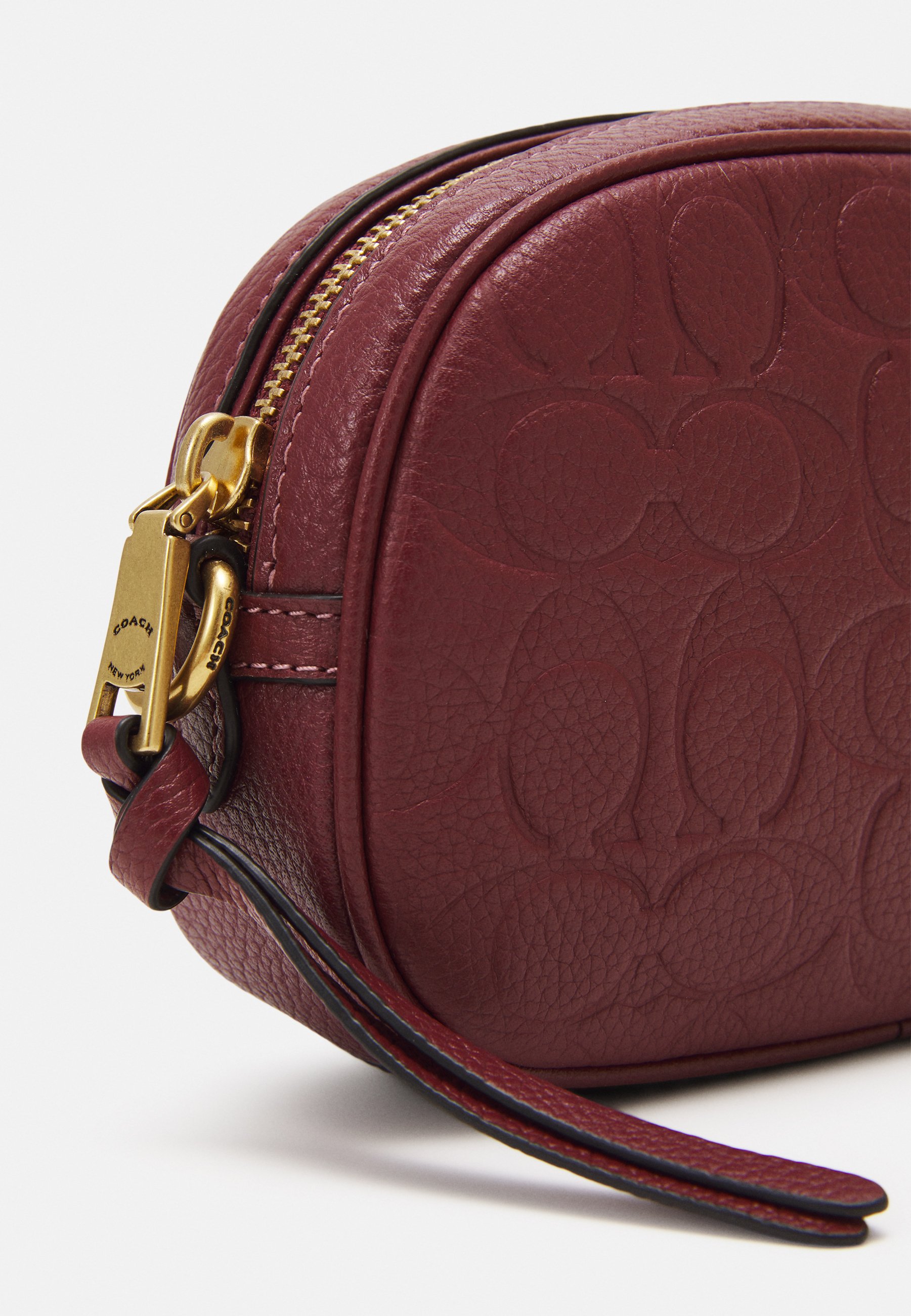 Coach SIGNATURE BADGE CAMERA CROSSBODY 