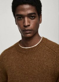 Brauner Strickpullover mit rundem Ausschnitt, strukturiertem Stoff und gerippten Bündchen. Das Modell hat kurze Haare und einen neutralen Gesichtsausdruck.