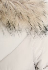 Anna Field Abrigo de invierno - grey