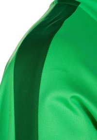 Nike Performance Trainingsjacke - light green