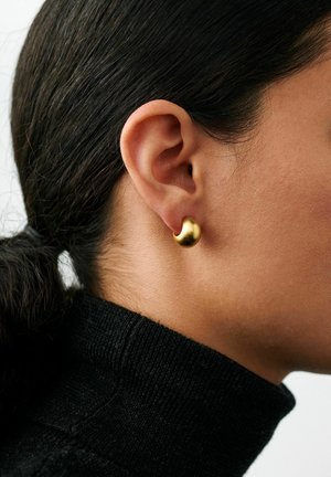 Profilul unei persoane cu părul închis legat înapoi, purtând o cercelă mică, netedă, aurie și un pulover negru cu guler înalt.