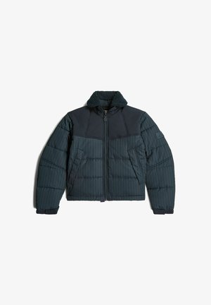 G-STAR, EXPEDITION JACKET - Winterjas - india ink pinstripe