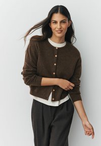 Hnědý vlněný kardigan s kulatým výstřihem a dřevěnými knoflíky, vrstvený přes bílou košili. Má dlouhé rukávy a zkrácený střih.