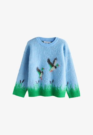 Blue sweater made of soft, textured yarn, featuring green grass and flying duck motifs. Ribbed green hem and cuffs. Round neckline.