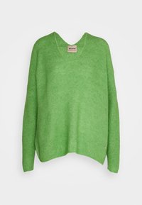 Pull vert en laine tricoté avec col en V, manches longues, coupe décontractée, et petite étiquette de marque cousue près de l'ourlet inférieur sur un fond uni.