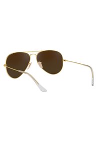 Occhiali da sole aviator dorati con lenti marroni scure, montatura in metallo sottile e punte in plastica trasparente sugli astucci. Inclusi i cuscinetti per il naso per maggiore comfort.