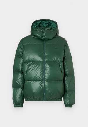 Casaco puffer verde com acabamento brilhante, apresentando uma capuz, fecho de correr, punhos elásticos e secções acolchoadas proeminentes para isolamento.