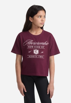 Abercrombie & Fitch CREST BOXY TEE - T-Shirt print - fig