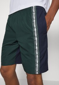 Vihreät ja tummansiniset urheilushortsit, joissa on teksturoitu kangas, joustava vyötärö ja sivutaskut valkoisella, brändätyllä raidalla.