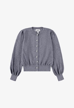 GUINEVERE CARDIGANS - Vesta na kopčanje - grey