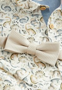 Next LONG SLEEVE AND BOW TIE SET - Pluus - white all over print dinosaur