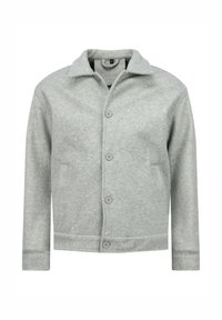 Lichtgrijs jasje van een wollen mix met een knoopsluiting aan de voorkant, een spreidkraag, lange mouwen en zijzakken. Gladde textuur en een getailleerde pasvorm.