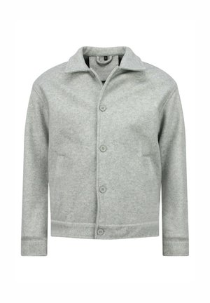 Lichte jas - grijs