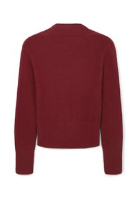 Roter gestrickter Pullover, kurz geschnitten, gerippter Kragen und Bündchen, weiche Textur und minimale Details auf dem Rücken.