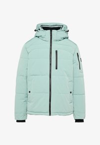 Niet geselecteerd, salbeigrün