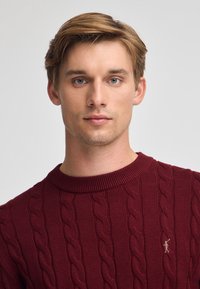 Pullover in borgogna a maglia con motivo a treccia, scollo rotondo e piccolo emblema sul petto. Texture morbida con polsini e orlo a coste.