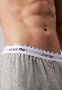 Szürke pamut boxer alsónadrág fehér, elasztikus derékkal, amelyen fekete színű "Calvin Klein" logó található. Közelről nézve a derékrészt és a törzset.