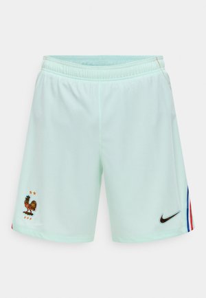 Pantaloncini sportivi azzurri chiari con fascia elastica in vita, emblema del calcio francese e due stelle sulla gamba sinistra, e logo Nike nero con strisce rosse, bianche e blu sulla gamba destra.