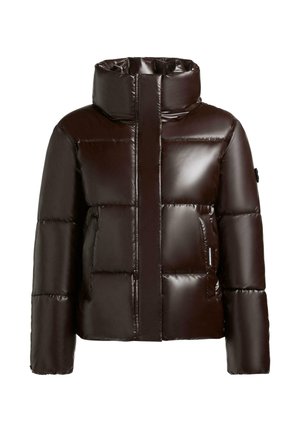Brown glossy puffer jacket with a high collar, featuring a zip closure, side pockets, and a boxy quilted design.