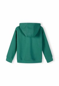 Sweat à capuche vert foncé à manches longues, avec poignets et taille côtelés, montré de dos sur fond blanc.