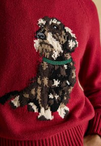 Červený pletený sveter s vyšívaným portrétom psa v hnedej, krémovej a čiernej farbe s zeleným golierom, textúrovaná pletenina, rebrované manžety.