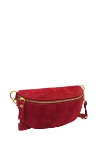 Sac en suédine rouge avec une forme courbée, fermeture éclair dorée et bandoulière réglable. Texture lisse avec des détails de couture et une finition polie.