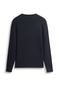 Pullover in maglia blu navy con texture, maniche lunghe e scollo rotondo, mostrato da dietro su uno sfondo bianco.