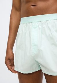Βαμβακερά μπόξερ σε μέντα πράσ ινο με ελαστική μέση που φέρει το λογότυπο Calvin Klein. Απλός σχεδιασμός, εφαρμογή κομμένη στα μέτρα και ελαφριά υφή.