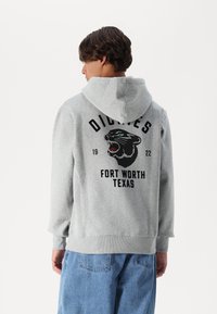 Dickies PHANTER HOODIE - Jersey con capucha - grey