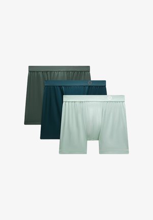 AIM 3 PACK - Kelnaitės - indochine blue pelican rainforest green