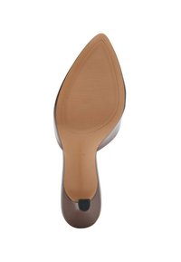 Zapato de tacón alto marrón con punta afilada. Material superior liso y suela de goma texturizada. El tacón es elegante y curvado, ligeramente transparente.