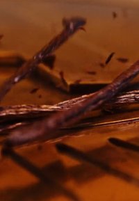 Nærbilde av vaniljestenger som hviler på knuste biter av mørk sjokolade.