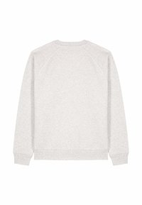 Felpa grigio chiaro a maniche lunghe con scollo rotondo, distesa mostrando la parte posteriore, con polsini e orlo a coste e cuciture raglan sulle maniche.