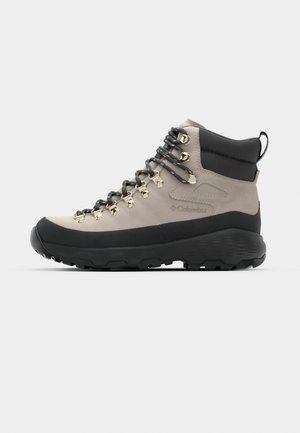Columbia NEWTON ALPINE PT - Hiking shoes - cloud grey/shark