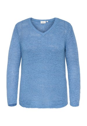 CARGEENA V-NECK - Pulover - riviera