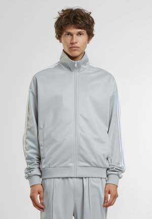 Helle graue Zip-Jacke mit hohem Kragen, glatter Textur und weißen Streifen entlang der Ärmel. Verfügt über Seitentaschen und gerippte Bündchen.