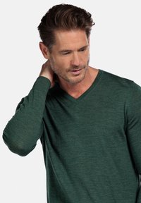 Groene lange mouwen V-hals trui gemaakt van een zachte, gestructureerde stof. Heeft een relaxte pasvorm en minimale naden voor een nette uitstraling.