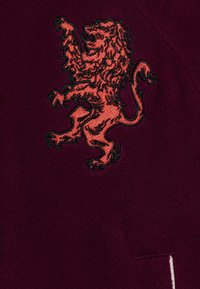 Nike Performance UNISEX - Outdoorjacka - bordeaux/track red/pale ivory/