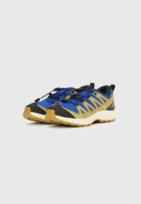 Ζευγάρι παπουτσιών για τρέξιμο σε μονοπάτια, σε μπλε και μουσταρδί χρώμα με μαύρες λεπτομέρειες και κορδόνια με γρήγορο τράβηγμα, σε λευκό φόντο.