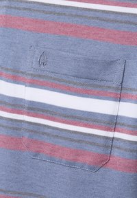 Close-up van een gestreepte shirt met horizontale banden in blauw, wit, rood en groen, met een klein zakje en geborduurd logo.