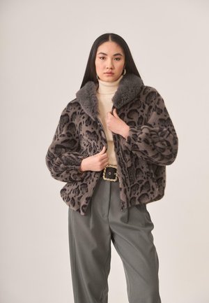 CORTO CAPUCHA - Chaqueta de invierno - gris