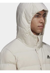 adidas Sportswear HELIONIC HOODED DOWN - Daunenjacke - beige