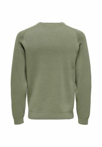 Felpa verde a girocollo con un motivo a maglia testurizzato, polsini e orlo a coste. Tessuto liscio senza ulteriori decorazioni.
