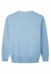 Maglione blu chiaro, in tessuto a maglia, con scollo a giro e maniche lunghe, polsini e orlo a coste. Nessun motivo o hardware visibile.